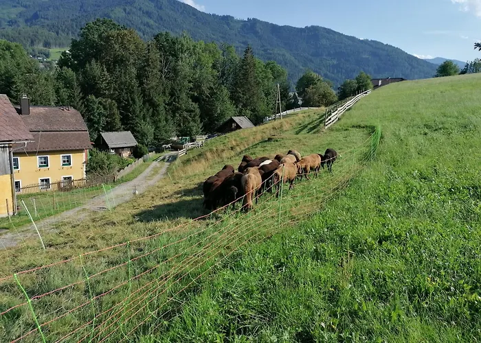 Weppermuehle Apartment